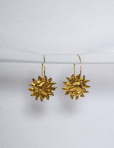 BRAUT OHRRINGE - SUNNY-BRAUTLY