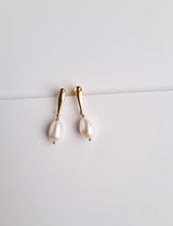 OHRRINGE - TAYLOR-BRAUTLY